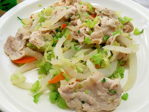 お野菜使いきり！肉野菜塩炒め